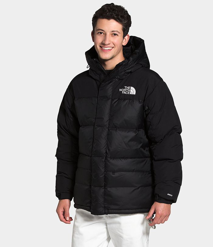 Casaca De Pluma The North Face Hombre Hmlyn Parka Negras - Peru 15038YCTJ
